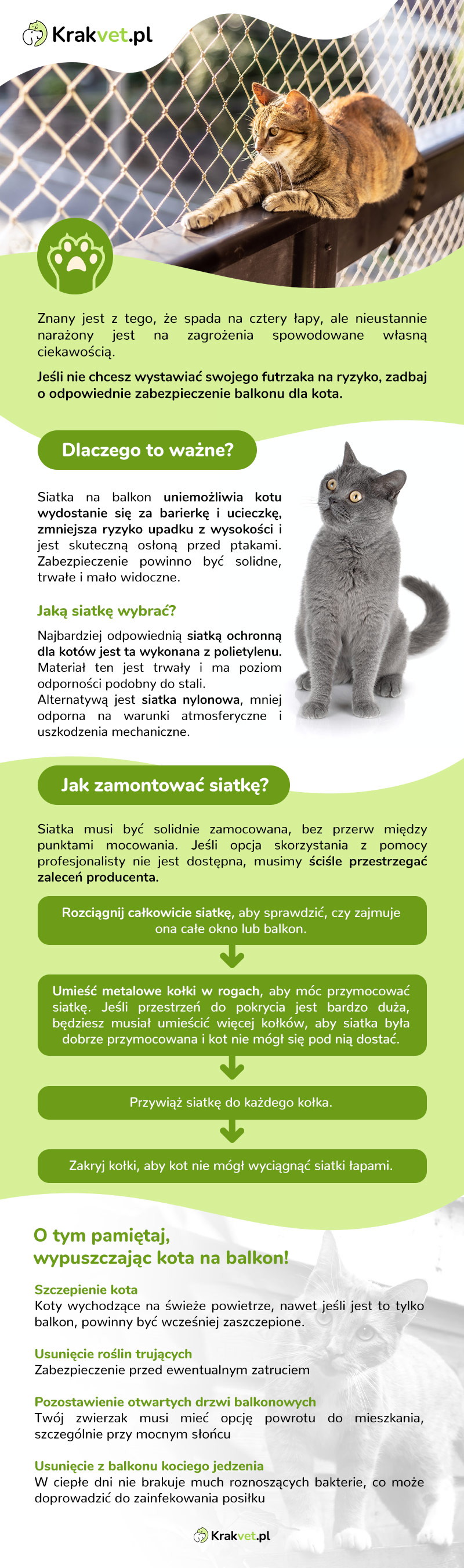infografika