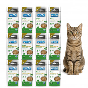 FARMINA Vet Life Cat Renal Creamy treat with Chicken & Tuna box – pamlsek pro kočku – 12x(4x15g)