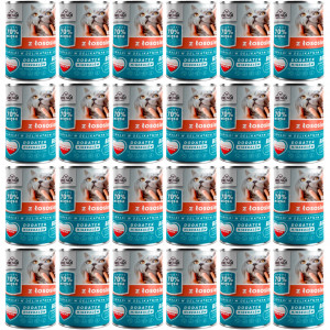 FRENDI s lososem kousky v jemné omáčce – mokré krmivo pro kočky – 24x400g