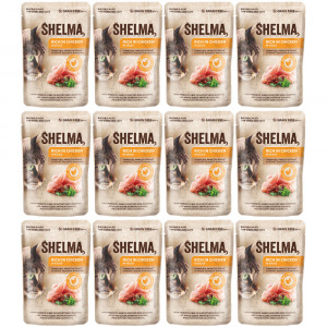 SHELMA Rich in chicken in sauce - mokré krmivo pro kočky - 12x85g