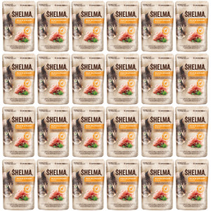 SHELMA Rich in chicken in sauce - mokré krmivo pro kočky - 24x85g
