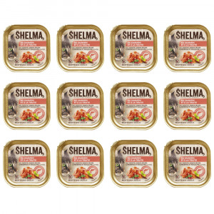 SHELMA Salmon and trout pate - mokré krmivo pro kočky - 12x100g