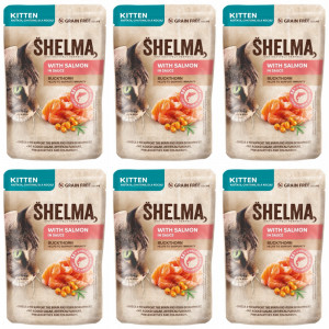 SHELMA Kitten with salmon in sauce - mokré krmivo pro kočky - 6x85g