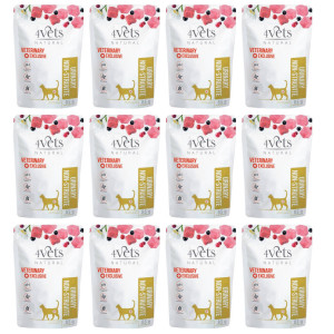 4VETS Natural Urinary Non-struvite - mokré krmivo pro kočky - 12x85g