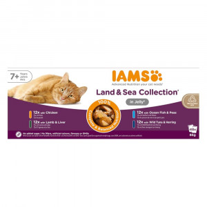 IAMS Senior Meat & Fish Mix in Jelly box – vlhké krmivo pro kočku – 48x85g