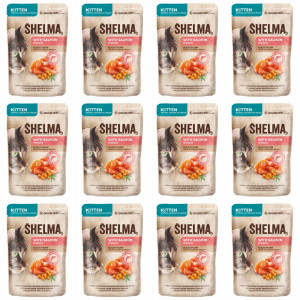 SHELMA Kitten with salmon in sauce - mokré krmivo pro kočky - 12x85g