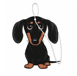 PAKA ZWIERZAKA - vůně do auta