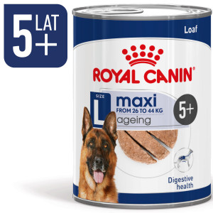 ROYAL CANIN Maxi Ageing 5+ mokré krmivo, paštika pro starší psy velkých plemen od 5 let věku.