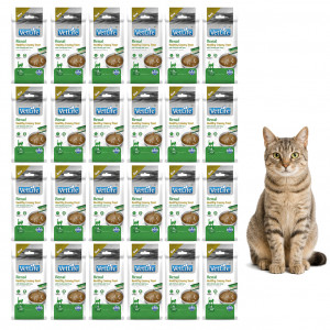 FARMINA Vet Life Cat Renal Creamy treat with Chicken & Tuna box – pamlsek pro kočku – 24x(4x15g)