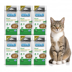 FARMINA Vet Life Cat Renal Creamy treat with Chicken & Tuna box – pamlsek pro kočku – 6x(4x15g)