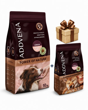 ADDVENA Junior Medium/Large Beef 10 kg – suché krmivo pro psy + Beef 2,5 kg Boosted by superfoods ZDARMA