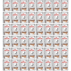 ROYAL CANIN Veterinary Diet Canine Gastrointestinal Low Fat – mokré krmivo pro psy – 48×420 g