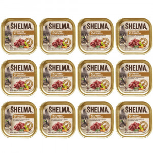 SHELMA Duck and chicken pate - mokré krmivo pro kočky - 12x100g