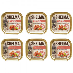 SHELMA Salmon and trout pate - mokré krmivo pro kočky - 6x100g