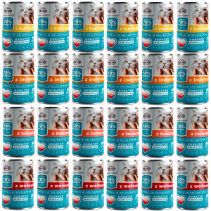 FRENDI kousky v jemné omáčce MIX příchutí - mokré krmivo pro kočky - 24x400g