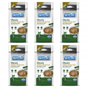 FARMINA Vet Life Cat Obesity Creamy treat with Chicken & Tuna box – pamlsek pro kočku – 6x(4x15g)