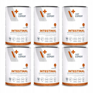 VET EXPERT Veterinary Diet Intestinal Dog - vlhké krmivo pro psy - 6x400g
