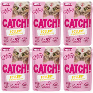 CATCH Junior Drůbež s mrkví v omáčce - mokré krmivo pro koťata - 6x85 g