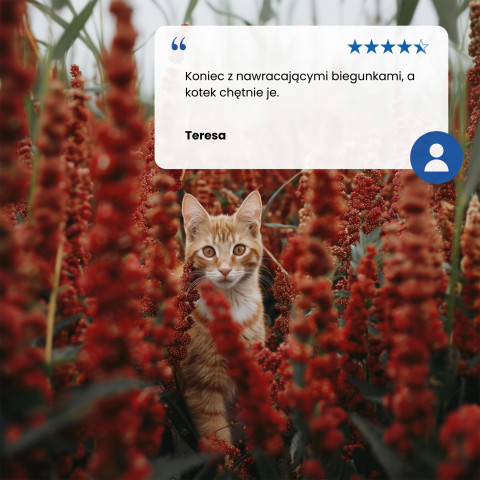 FARMINA N&D Quinoa Digestion - suché krmivo pro kočky - 1,5kg - Fotogalerie 3