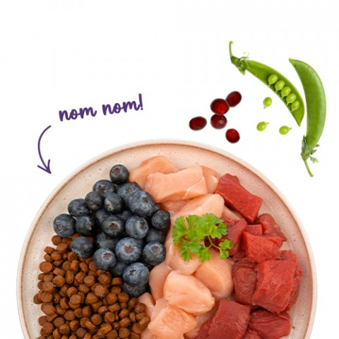 BOSCH Sanabelle Adult Ostrich & Blueberries - suché krmivo pro kočky - 2kg - Fotogalerie 2