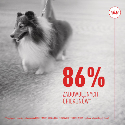 ROYAL CANIN Supplements Dog Skin & Coat Adult - vitamíny pro psa - 240g - Fotogalerie 11