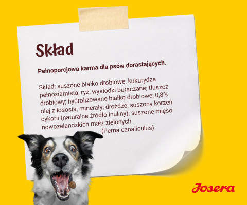JOSERA Kids - suché krmivo pro psy - 12,5kg - Fotogalerie 2