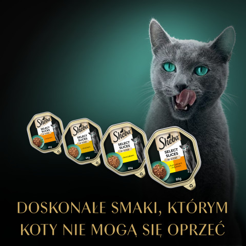 SHEBA tác omáčka drůbeží/kuřecí/krůtí - vlhké krmivo pro kočky - 32x85g - Fotogalerie 2