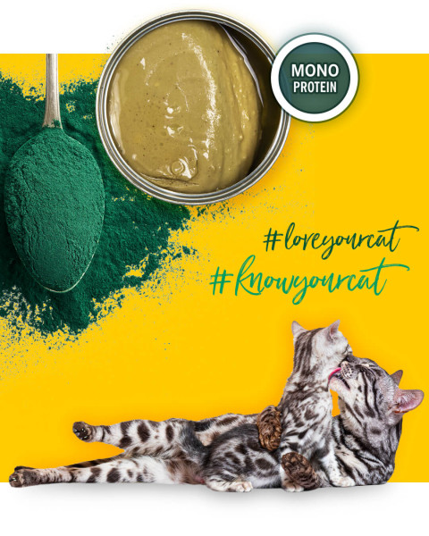 3COTY Chicken with spirulina For kittens and nursing cats - mokré krmivo pro kočky - 80g - Fotogalerie 7