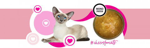 3COTY Cheers! 62. Turkey - mokré krmivo pro kočky - 12x160g - Fotogalerie 4