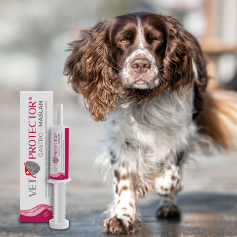 VET PROTECTOR Gastro Butyrate - doplňky stravy pro psa a kočku - 60ml - Fotogalerie 2