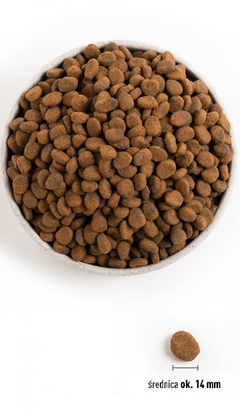 Orijen Regional Red 2 kg Dospělý jedinec Hovězí, Jehněcí, Vepřové - Fotogalerie 2