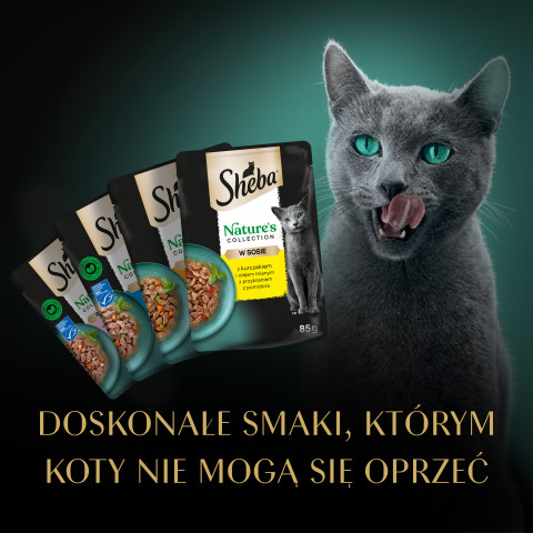 SHEBA Nature's Collection Mix - mokré krmivo pro kočky - 40x85g - Fotogalerie 8