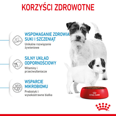 Royal Canin Mini Starter Mother & Babydog Dospělí Drůbež 1 kg - Fotogalerie 2