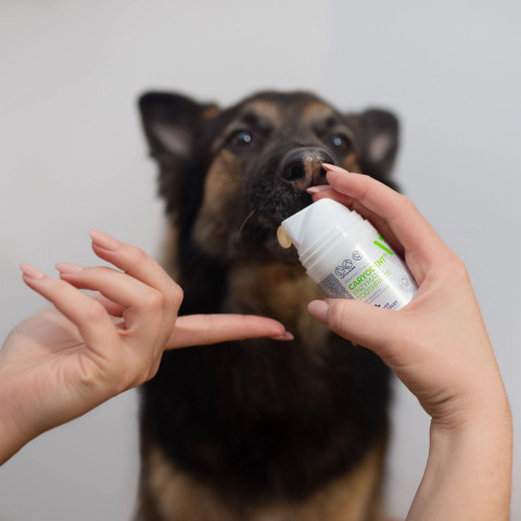 VETEXPERT Caryodent Enzymatic Toothpaste - enzymatická zubní pasta pro psy a kočky - 50 ml - Fotogalerie 2