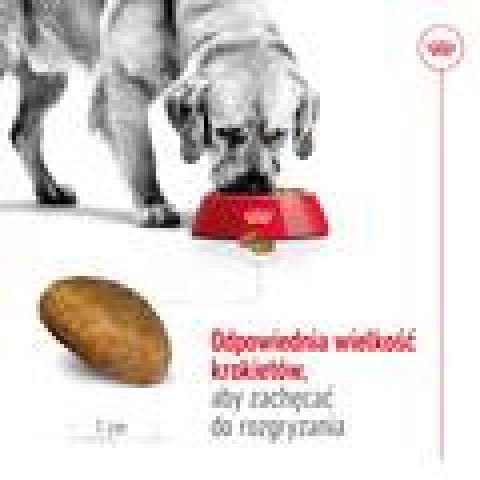 ROYAL CANIN Maxi Adult - suché krmivo pro psy - 15 kg + SHN Maxi Adult Loaf Can 410g GRATIS - Fotogalerie 7