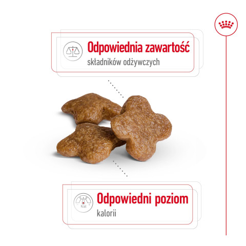 ROYAL CANIN S Mini Adult 8+ - suché krmivo pro psy - 800 g - Fotogalerie 6