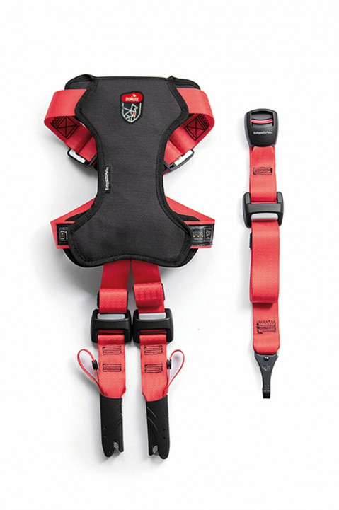 ZOLUX Travel Safe M red - postroj pro psy - Fotogalerie 3