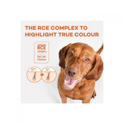 NATURE'S PROTECTION Superior Care Red Coat Adult Small breed Grain free Salmon - suché krmivo pro psy - 1,5kg - Fotogalerie 3