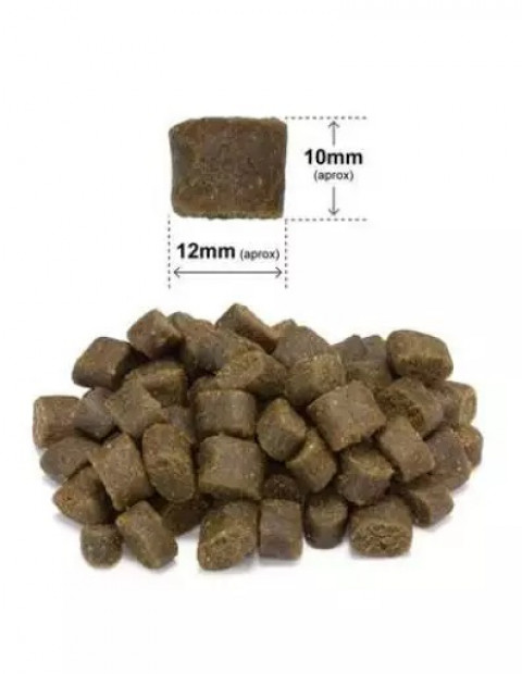 ARQUIVET Čerstvý losos s krůtím masem - polotučné krmivo pro psy - 2,5 kg - Fotogalerie 2