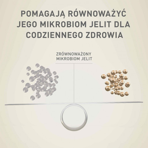 PURINA One Mini/Small Sensitive Salmon, rice - suché krmivo pro psy - 800 g - Fotogalerie 5