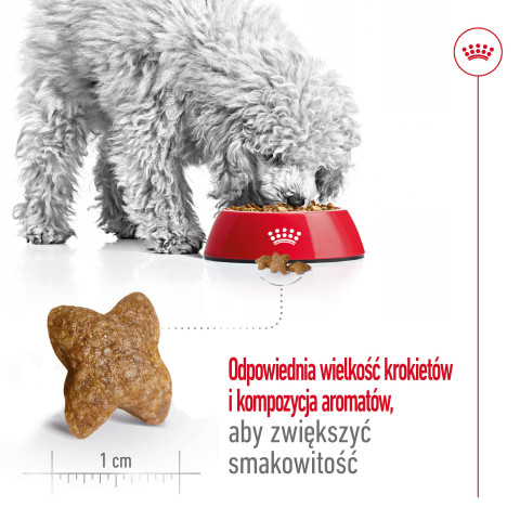 ROYAL CANIN Adult Mini S - suché krmivo pro psy - 4kg - Fotogalerie 7