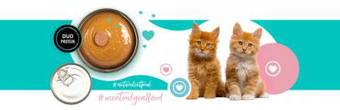 3COTY 42. Chicken and duck (kitten) - mokré krmivo pro kočky - 180g - Fotogalerie 4