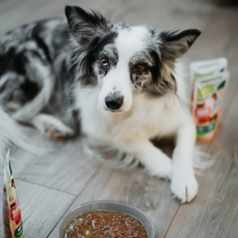 ANIMAL ISLAND Turkey / Beef Fillets in broth - vlhké krmivo pro psy - 8x150g - Fotogalerie 2