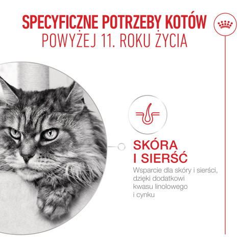 ROYAL CANIN Ageing 11+ - suché krmivo pro kočky - 4kg - Fotogalerie 6
