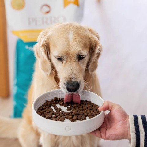 PERRO Duck with sweet potatoes - suché krmivo pro psy - 12kg - Fotogalerie 4