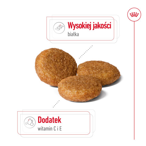 ROYAL CANIN Suché krmivo pro psy SHN Medium Adult BF 15 kg + SHN Medium Adult Loaf konzerva 410 g ZDARMA - Fotogalerie 8
