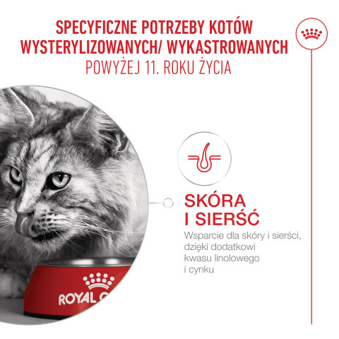 ROYAL CANIN Ageing 11+ Sterilised - suché krmivo pro kočky - 4kg - Fotogalerie 6