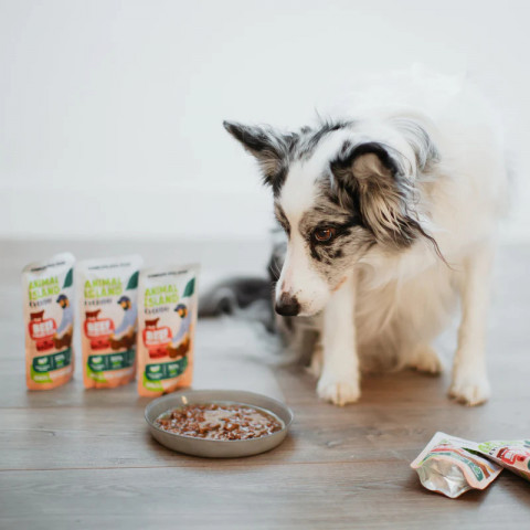 ANIMAL ISLAND Beef Fillets in broth - vlhké krmivo pro psy - 10x150g - Fotogalerie 2