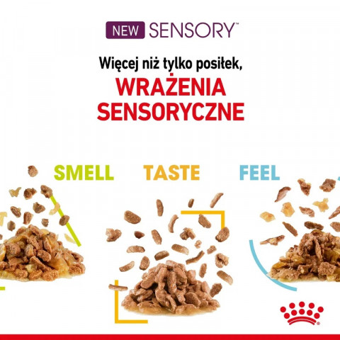ROYAL CANIN Sensory Taste - mokré krmivo pro kočky - 12x85g - Fotogalerie 2