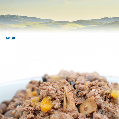 FARMINA N&D Pumpkin Lamb, Pumpkin & Blueberry – mokré krmivo pro kočky – 24x70 g - Fotogalerie 8